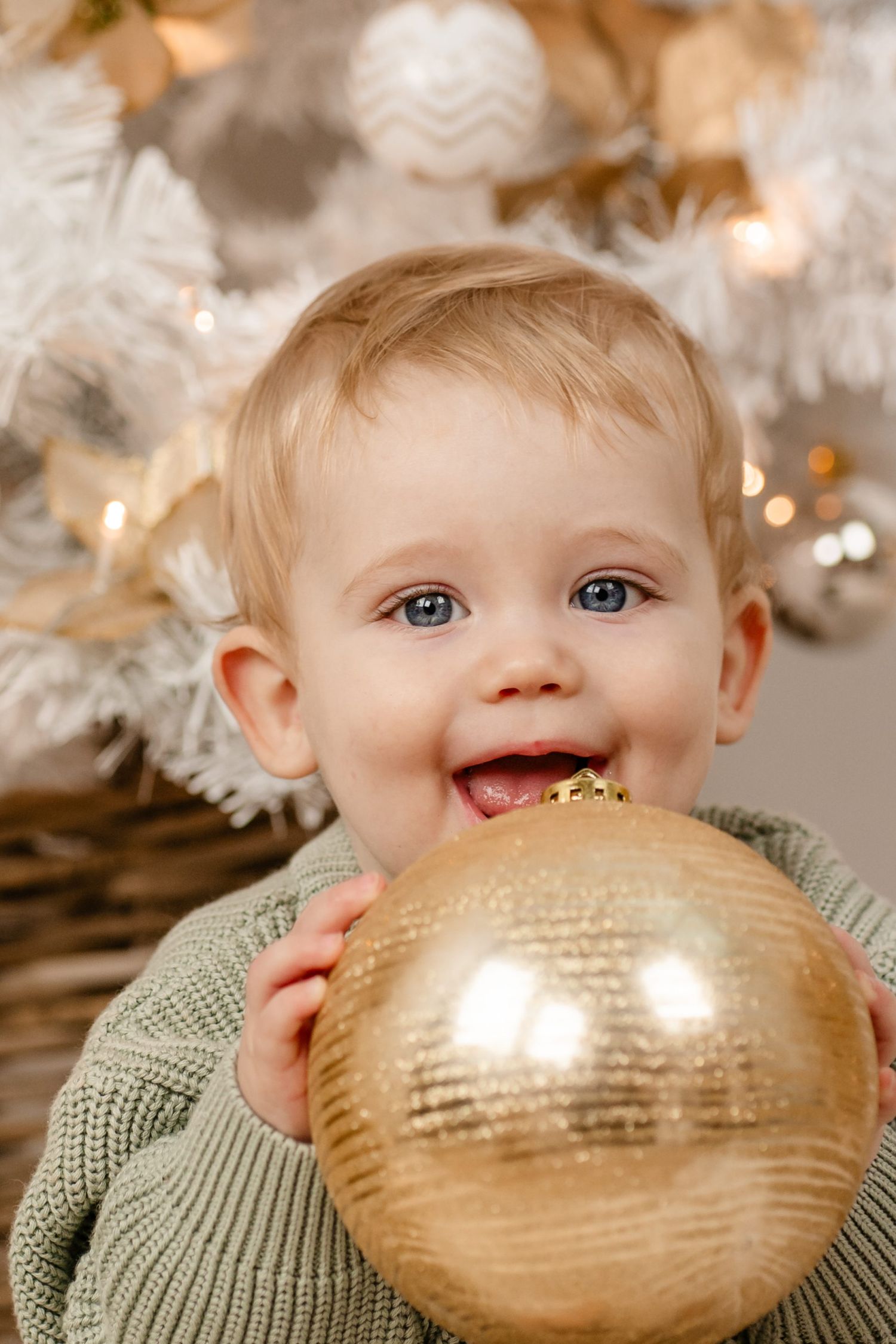 Kerstshoots