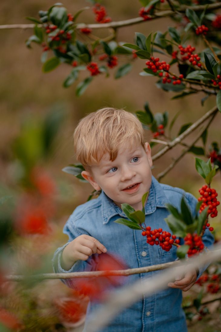 Korte en voordelige studioshoots, gezinsshoots, zwangerschapsshoot en cakesmash van november tot en met februari beschikbaar.