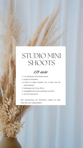 Mini studio shoots Mini studio shoots