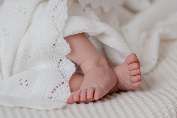 Newborn fotograaf Brecht