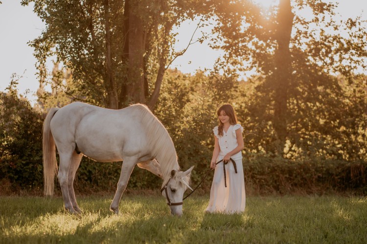 Fotoshoots met pony's, unicorn Antwerpen, Kempen