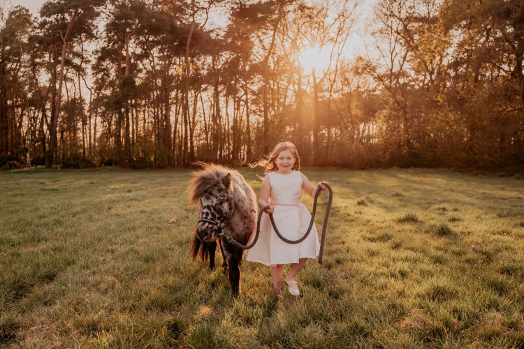 Fotoshoots met pony's, unicorn Antwerpen, Kempen