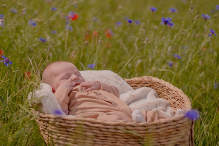 Newbornfotograaf met studio te Antwerpen