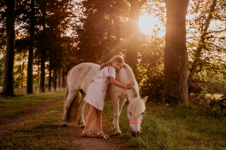 Paarden shoots