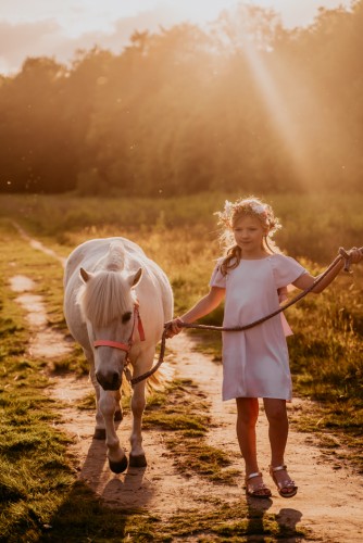 Paarden shoots