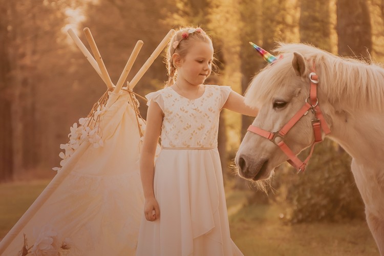 Fotoshoots met pony's, unicorn Antwerpen, Kempen