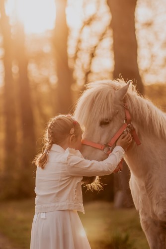 Fotoshoots met pony's, unicorn Antwerpen, Kempen