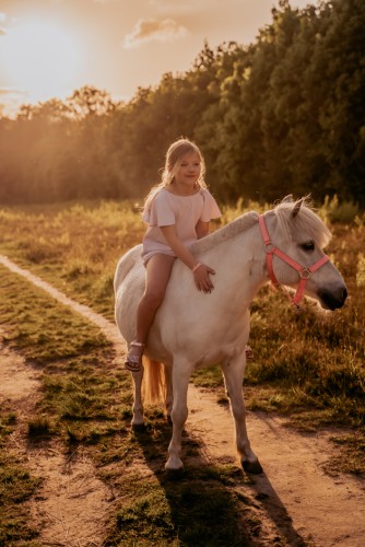 Paarden shoots