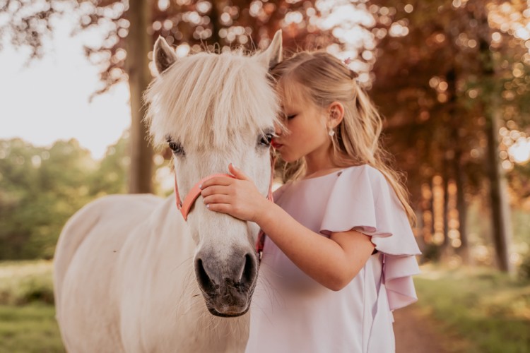 Paarden shoots