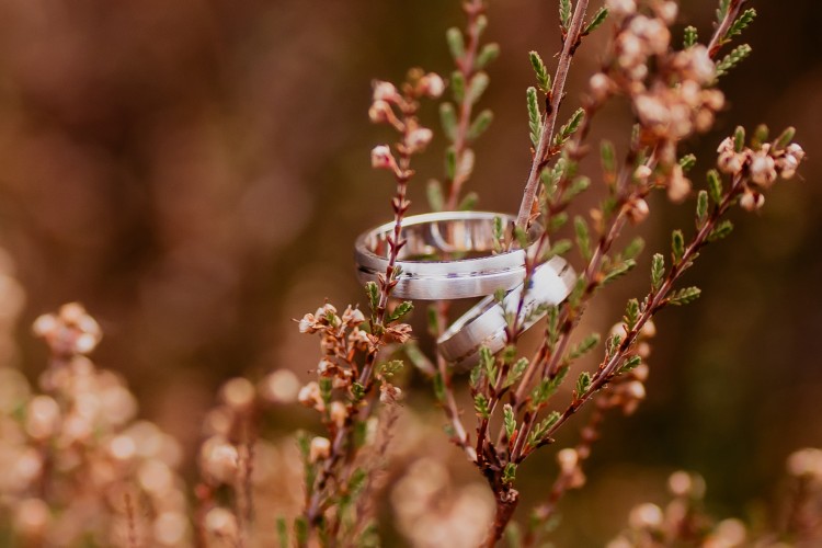 fairytale wedding fotograaf