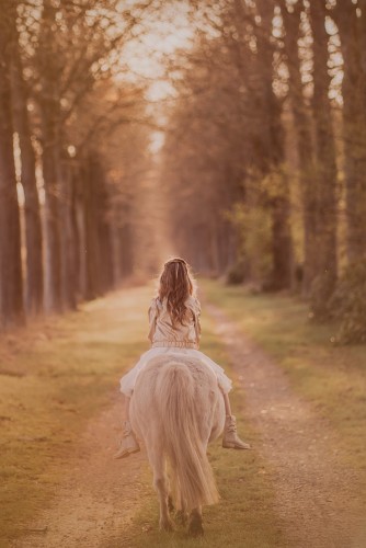Fotoshoots met pony's, unicorn Antwerpen, Kempen
