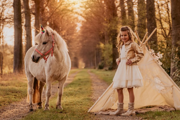 Fotoshoots met pony's, unicorn Antwerpen, Kempen